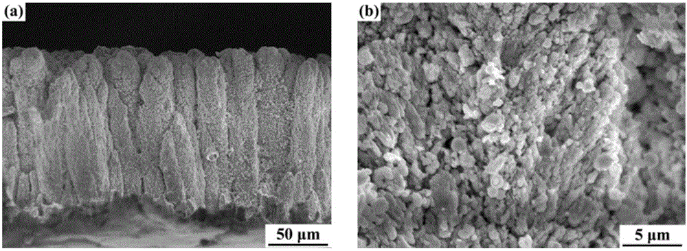 Preparation method for thermal barrier coating of high strain tolerance columnar structure