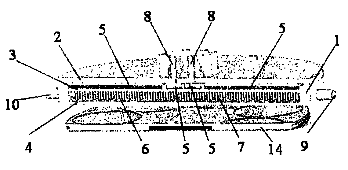 Fan-shaped gas inlet spray head for metal organic chemical vapor deposition equipment