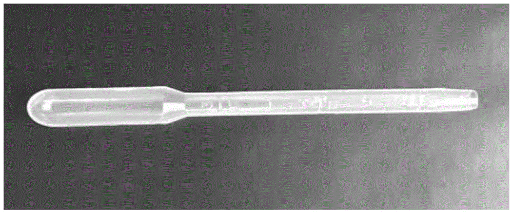 A kind of method for indoor bioassay of wheat aphid