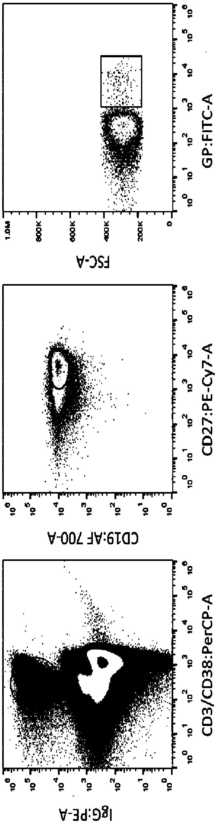 Monoclonal antibody 8F9 specifically bound to GP1 subunit of EBOV and application thereof