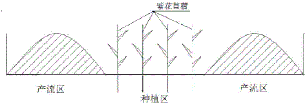 Cover planting method of biodegradable plastic film in semi-arid area