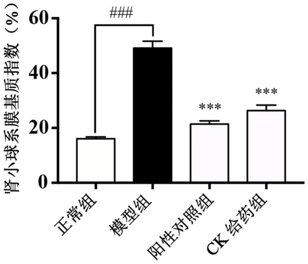 Application of ginsenoside compound K in preparation of medicine for treating diabetic kidney diseases