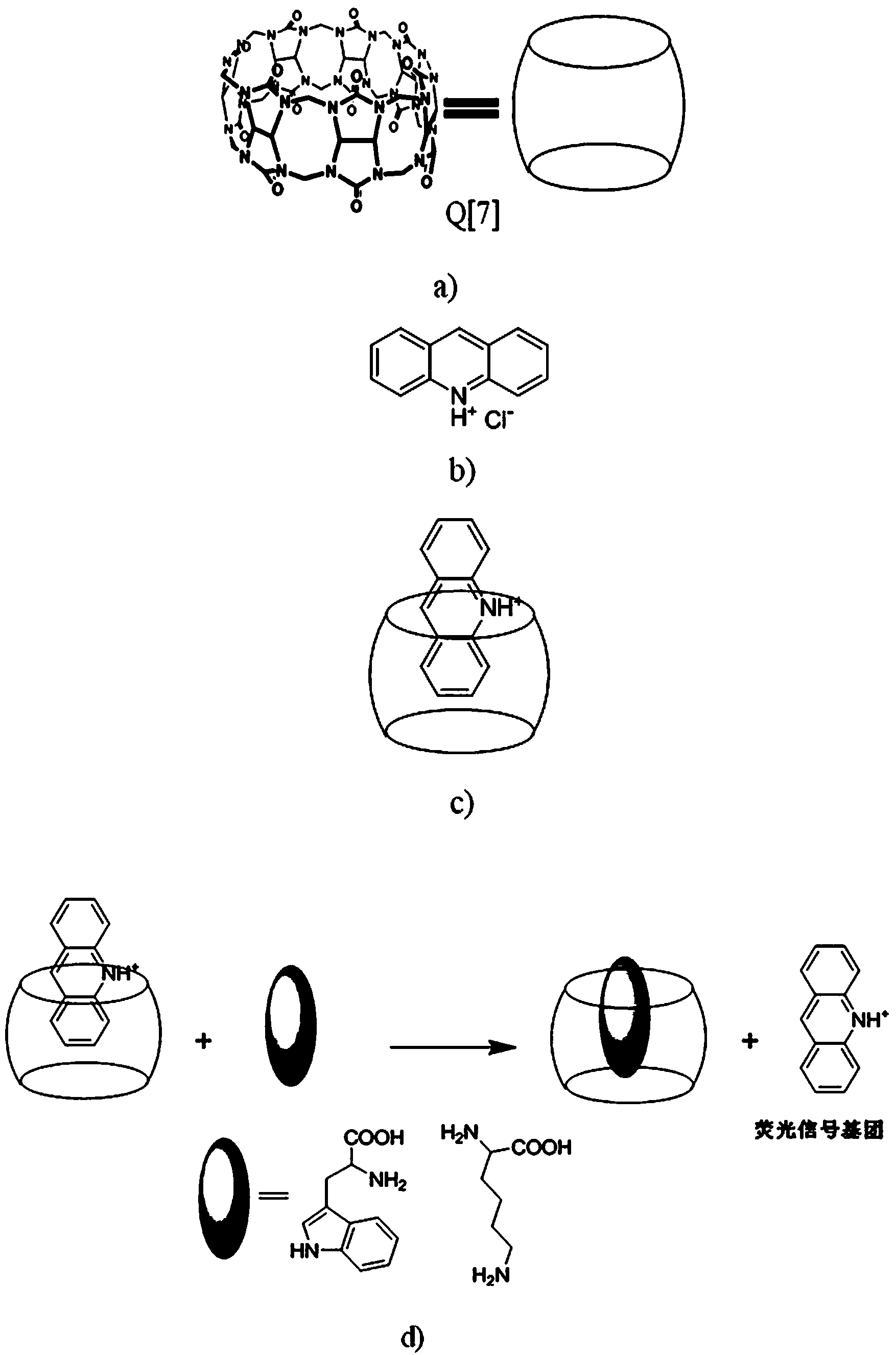 Fluorescence detection method for amino acid under different pH values