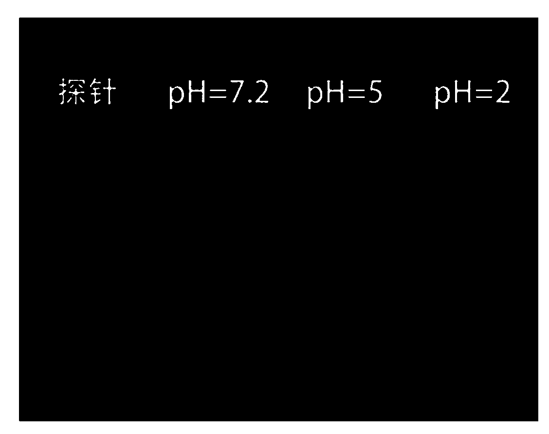 Fluorescence detection method for amino acid under different pH values