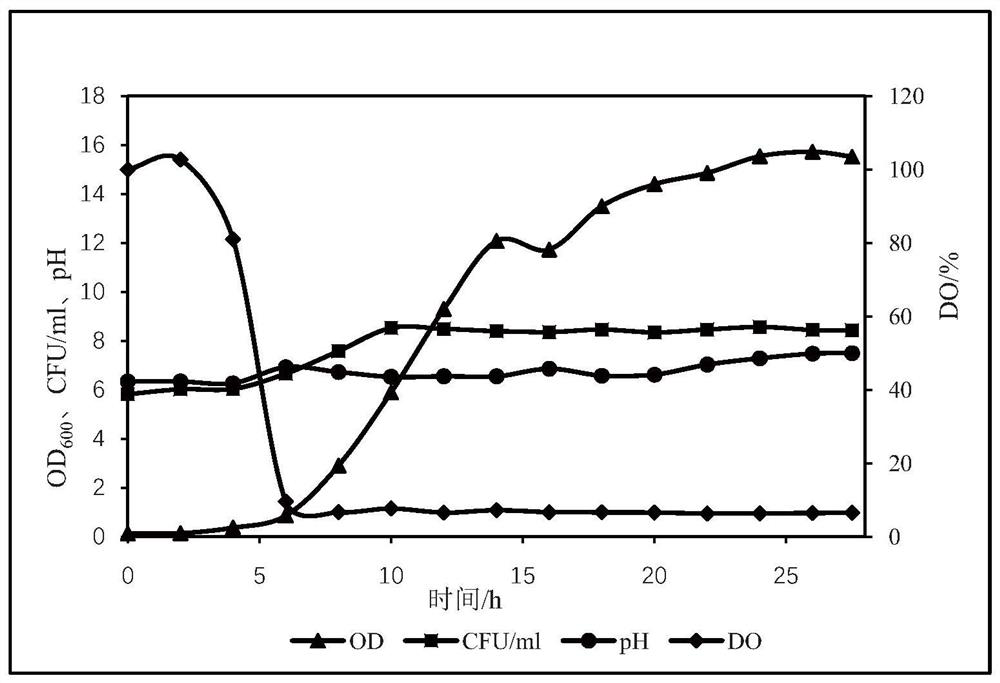 Bacteriocin with antibacterial activity as well as production method and application thereof