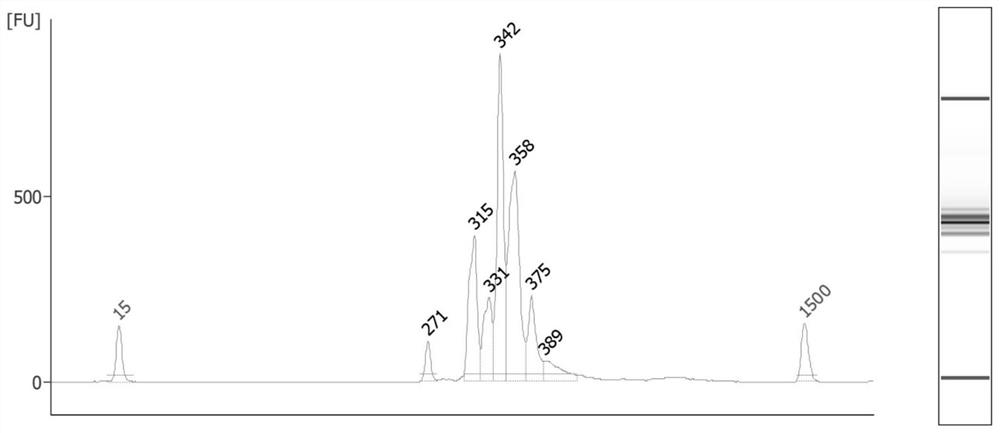 Biomarker and method for DNA sample tracking detection, and application of biomarker