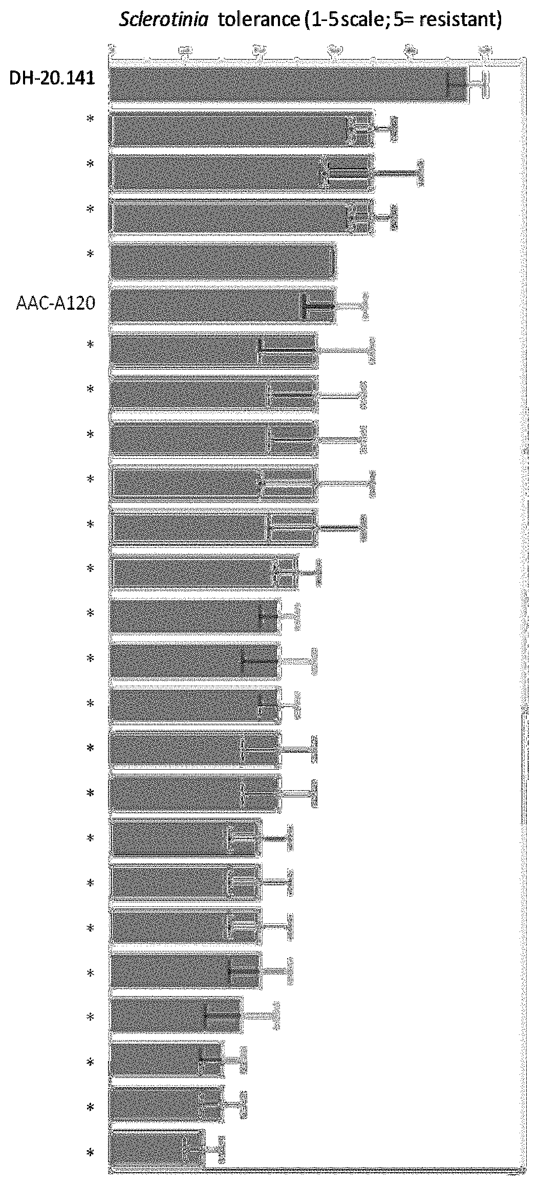 Plants and seeds of <i>Brassica carinata </i>variety DH-20.141