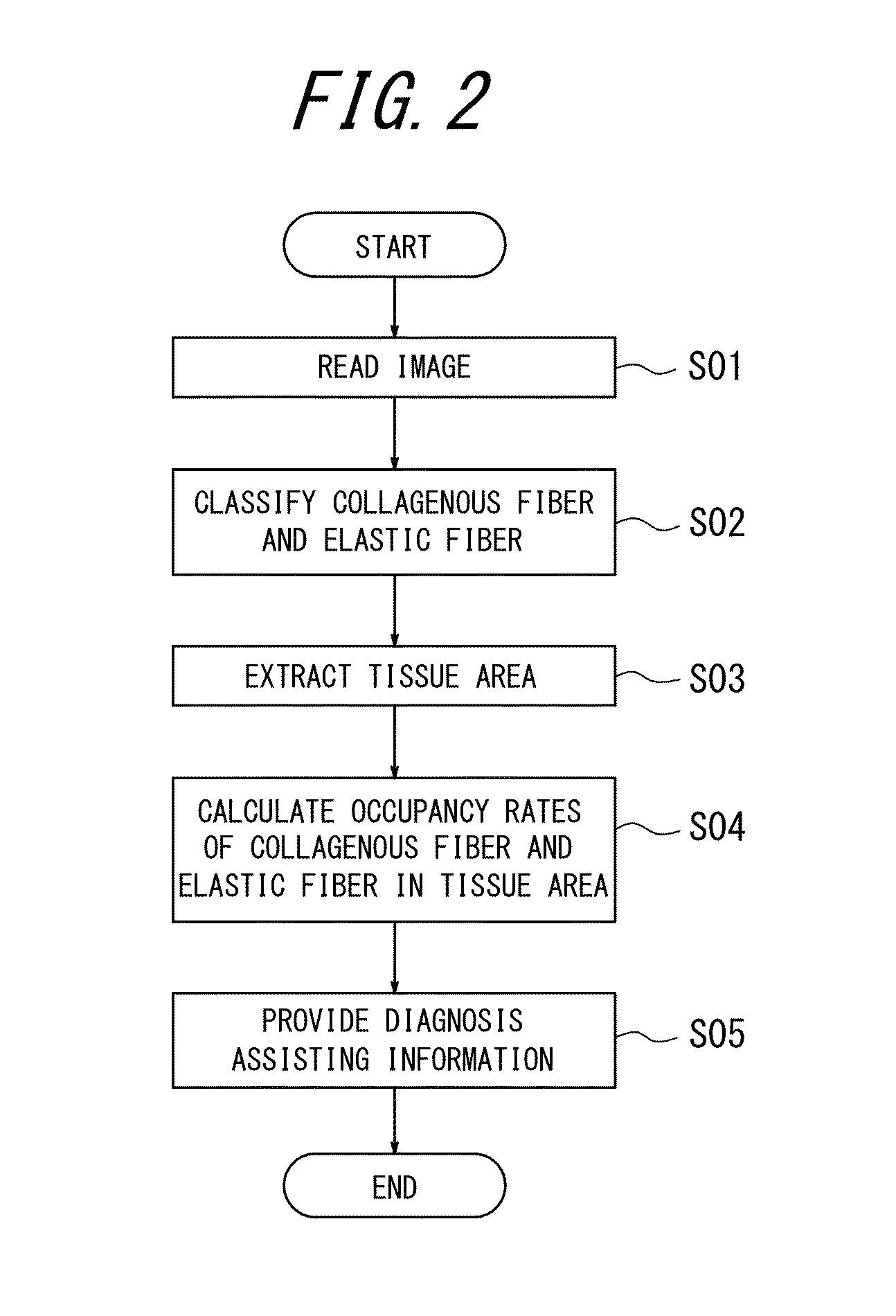 Pathological diagnosis assisting apparatus, pathological diagnosis assisting method and non-transitory computer readable medium storing pathological diagnosis assisting program