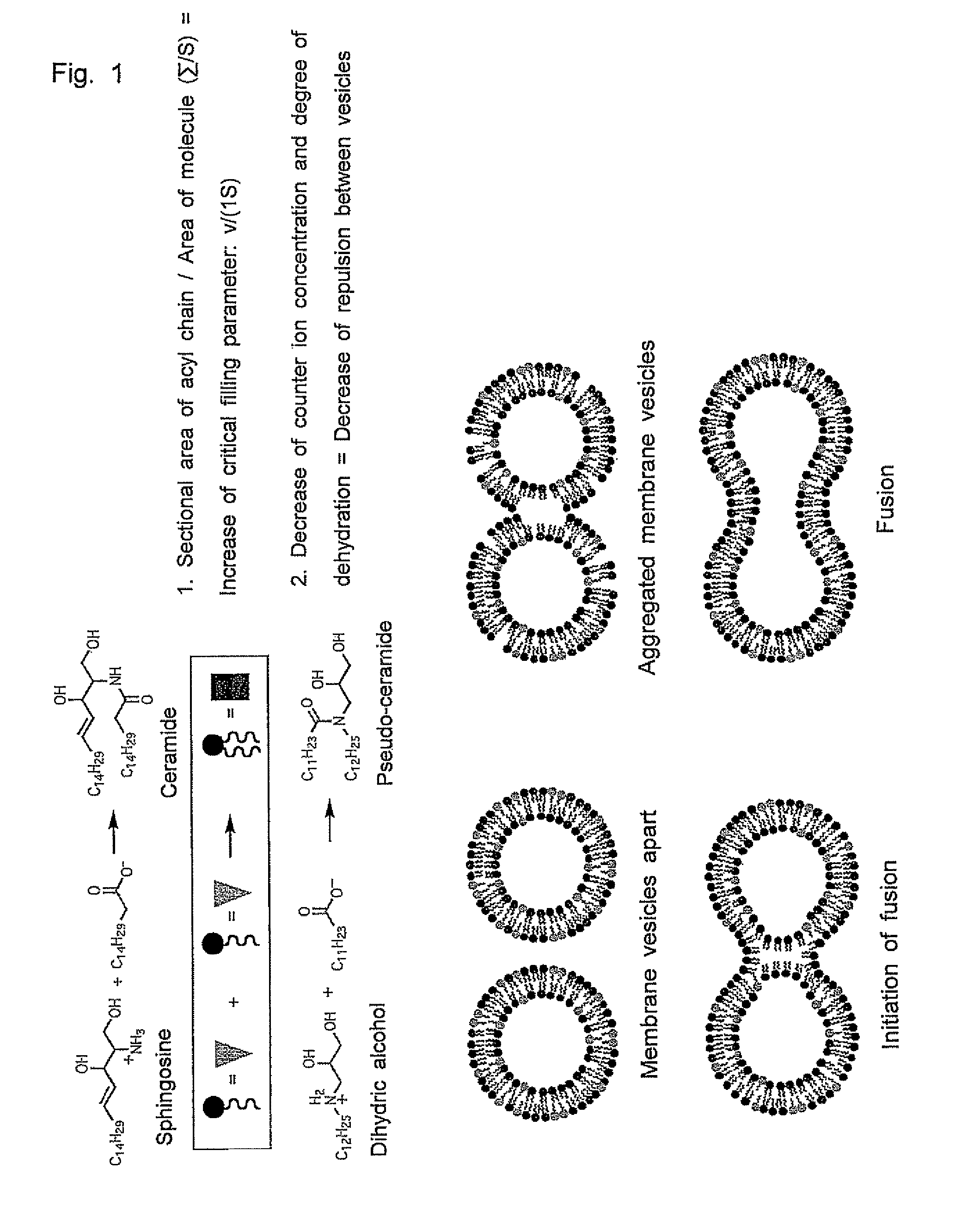 Molecular aggregate capable of undergoing phase transition by dehydrating condensation and method of phase transition thereof