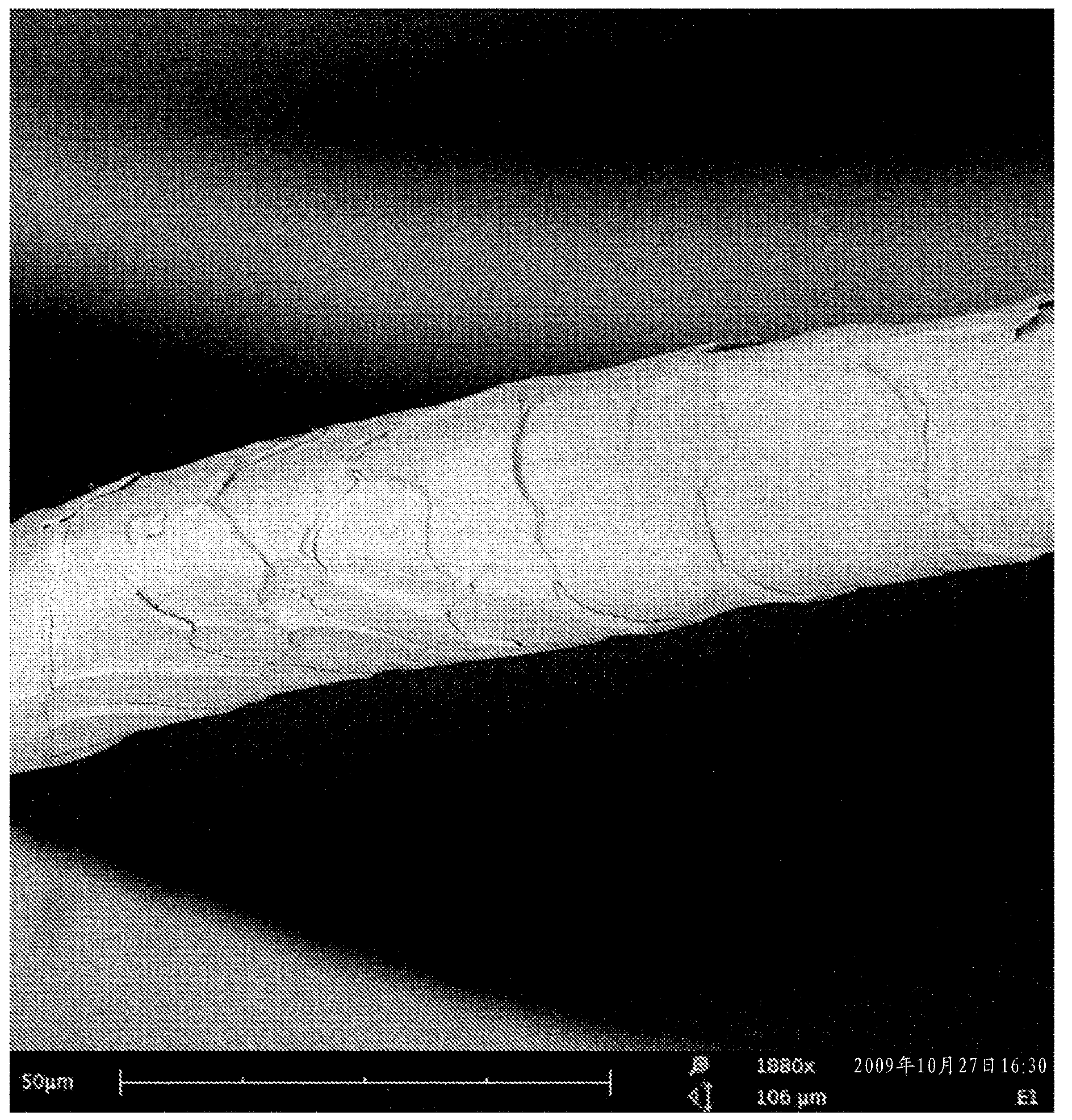 Treatment of keratinous fibers with an enzyme having perhydrolase activity