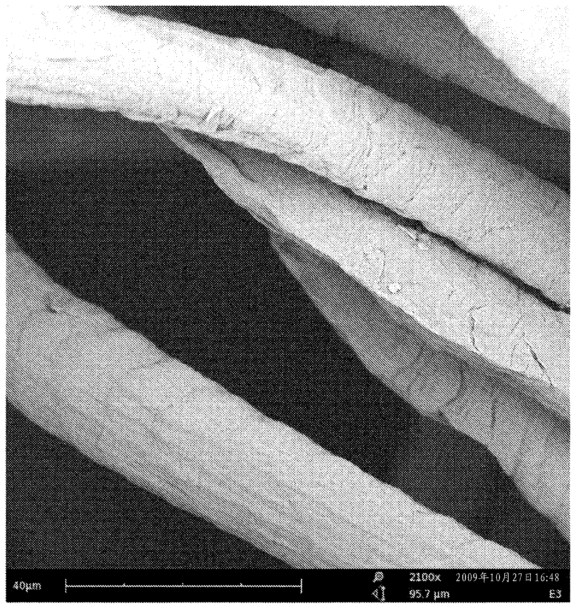 Treatment of keratinous fibers with an enzyme having perhydrolase activity