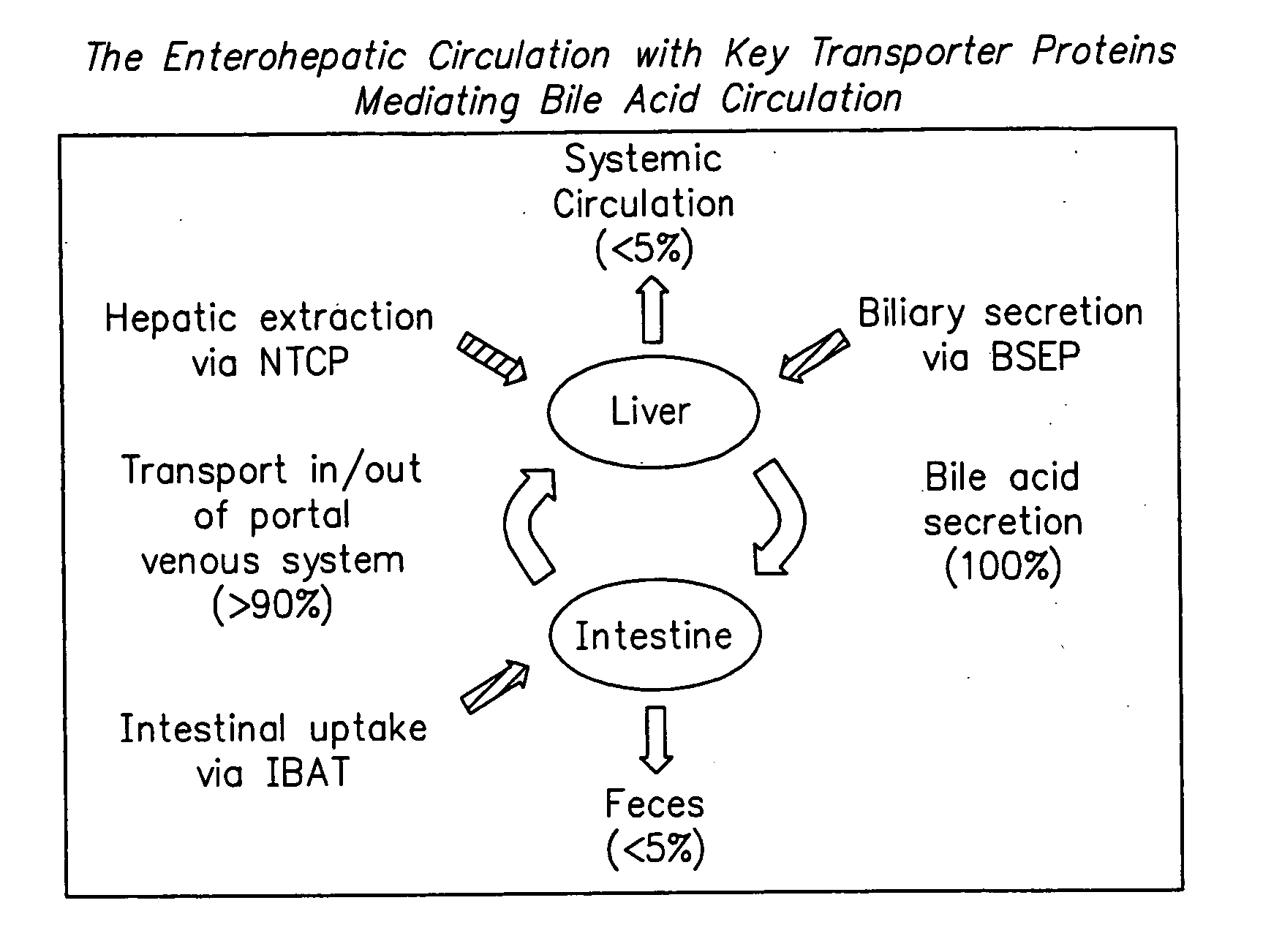 Compounds for sustained release of orally delivered drugs