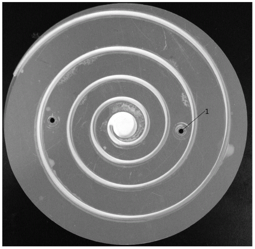 Narrow-band spiral thin-layer chromatography plate and preparation method thereof