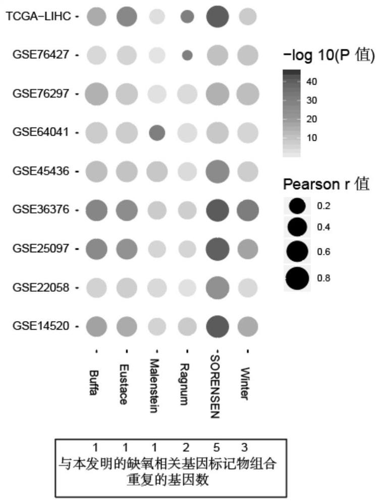 Hypoxia-related gene marker combination for hepatocellular carcinoma and application thereof