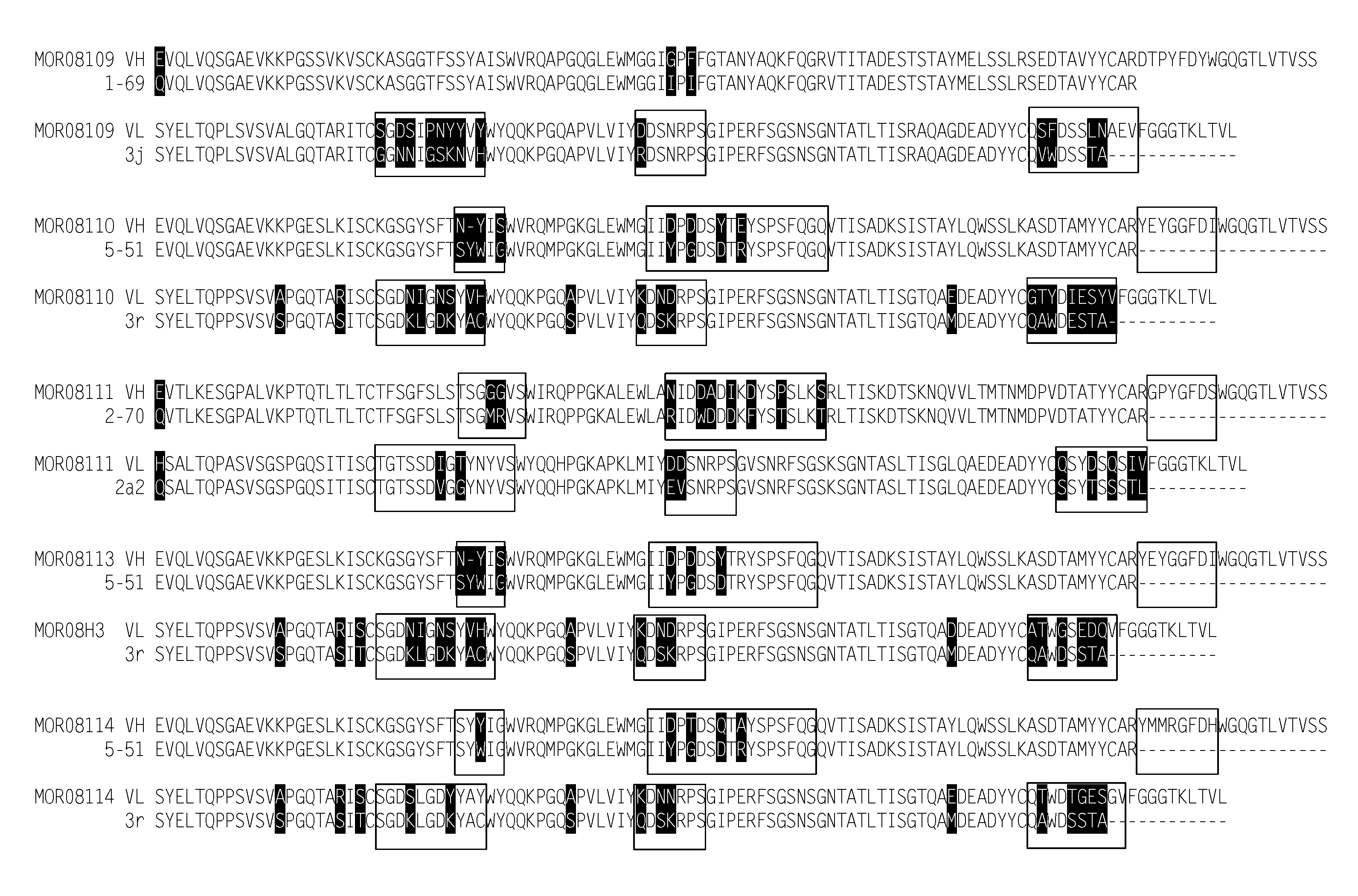 Compositions and Methods for Antibodies Targeting Complement Protein C5