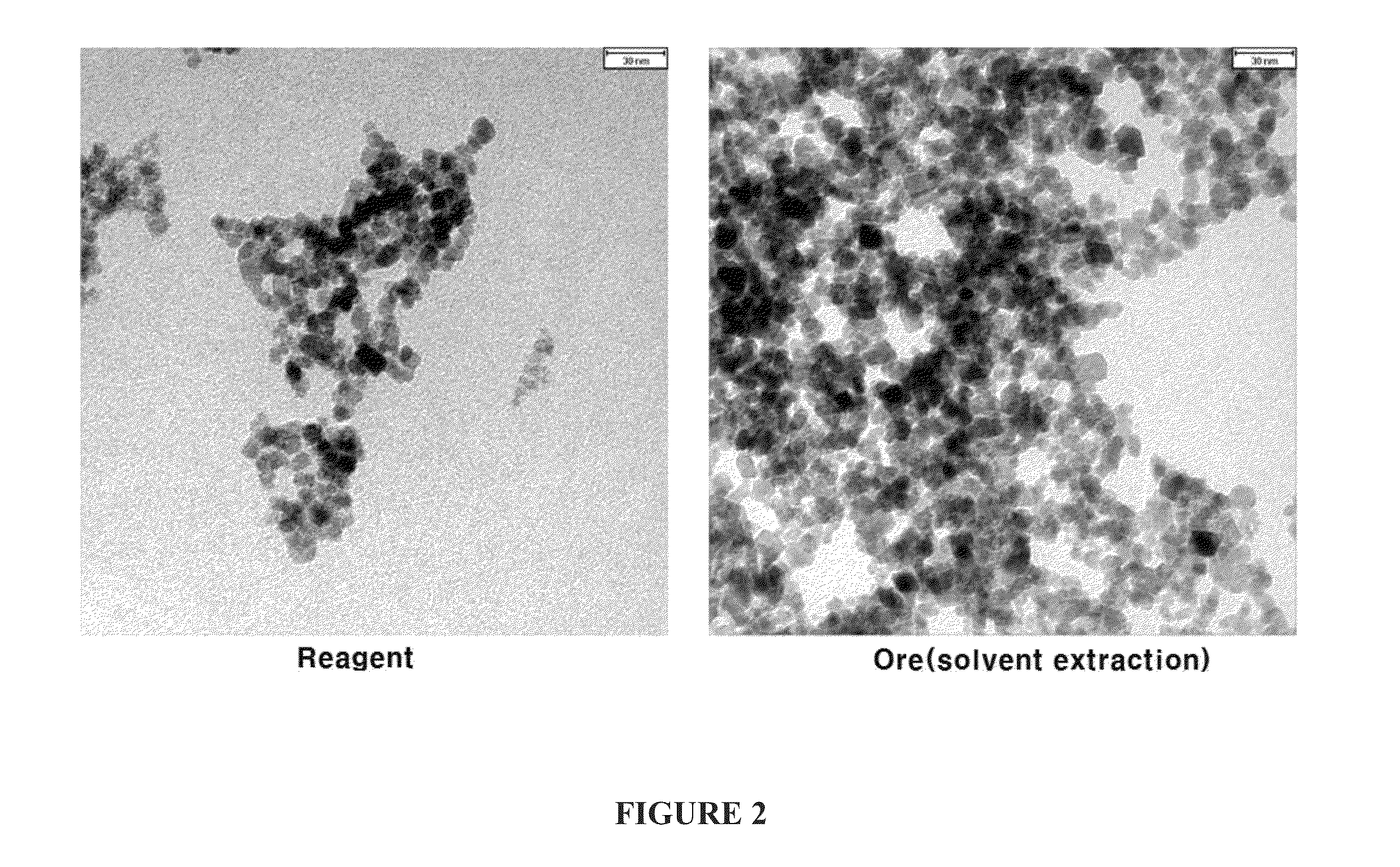 Method for preparing magnetite nanoparticles from low-grade iron ore using solvent extraction and magnetite nanoparticles prepared by the same