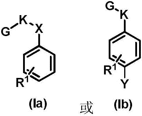 Anti-clay polymer dispersing agent and preparation method thereof