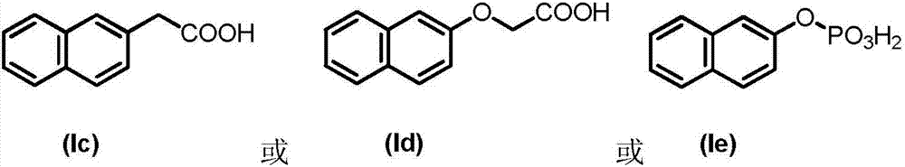 Anti-clay polymer dispersing agent and preparation method thereof