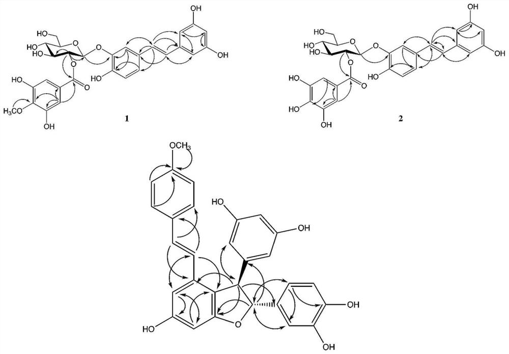 Stilbene compound separated from rheum lhasaense and application of stilbene compound in treatment of nervous system diseases