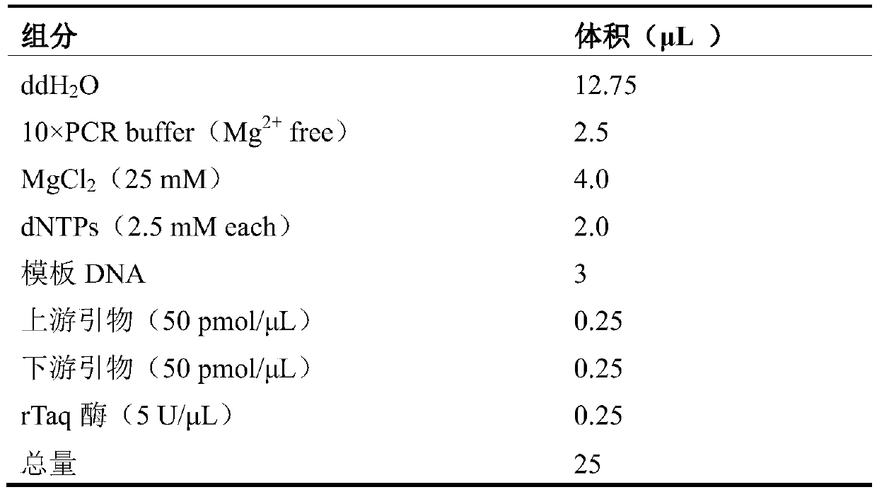 Specific primers, probes, kit and chip for gene detection of Toxoplasma gondii