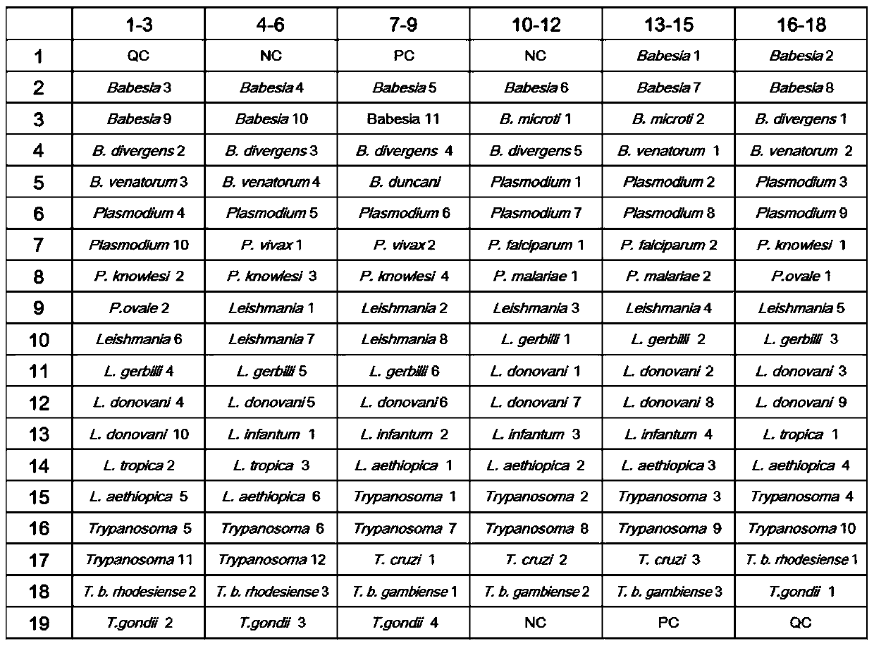 Specific primers, probes, kit and chip for gene detection of Toxoplasma gondii