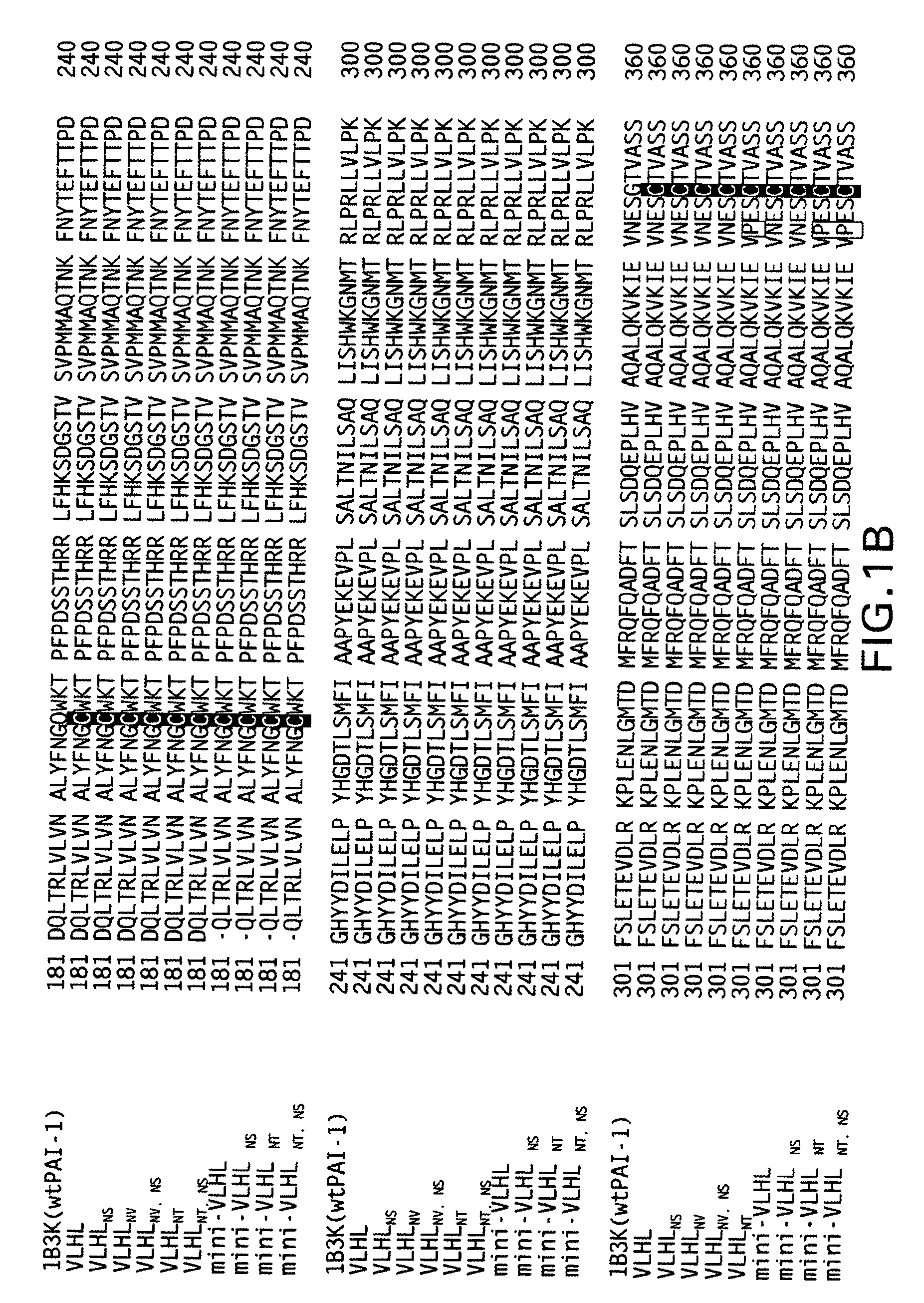 Modified plasminogen activator inhibitor type-1 molecule and methods based thereon