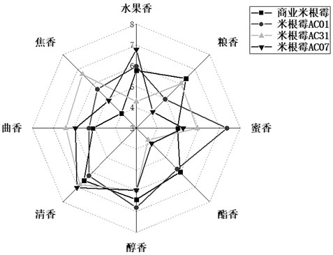 Rhizopus oryzae, microbial agent, mouldy bran, preparation methods and application thereof, wine and preparation method of wine