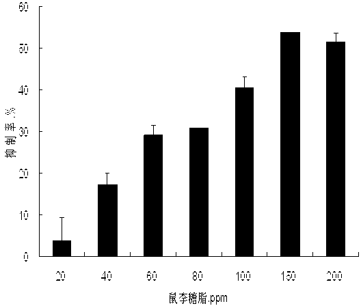 Application of rhamnolipid as biological pesticide and biological insecticide