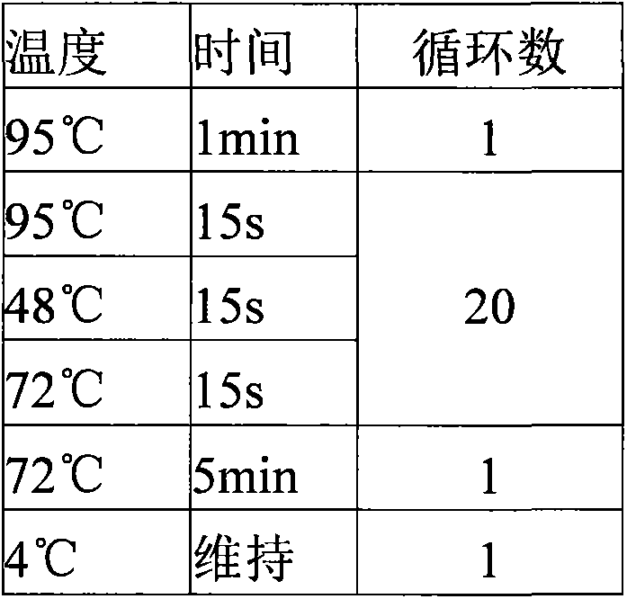 A method and kit for preparing gene dna probe library