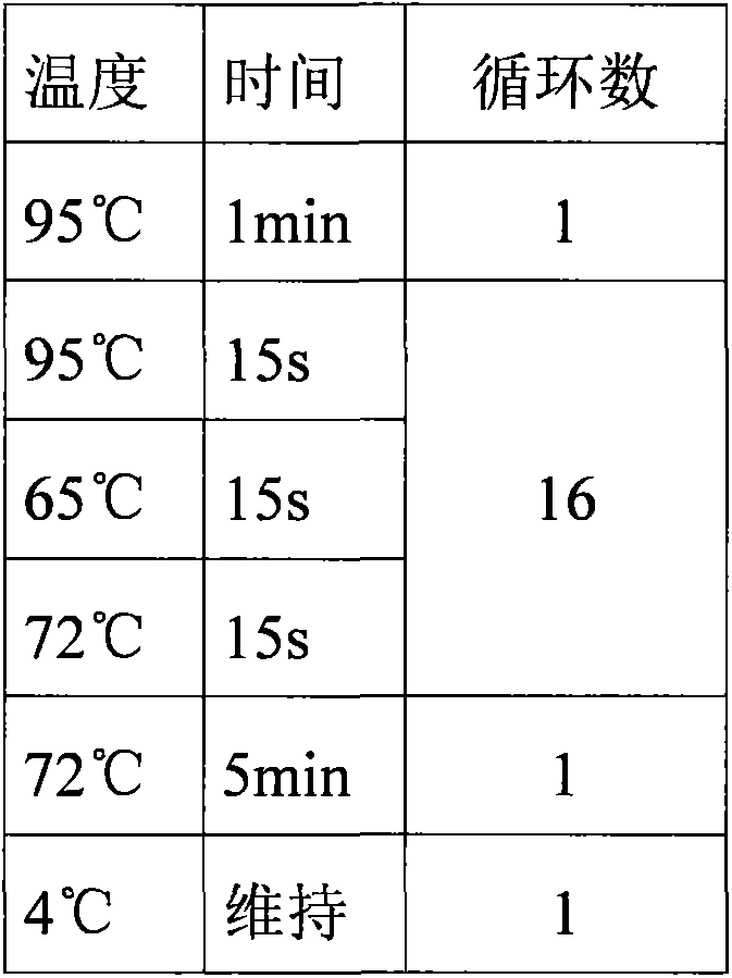 A method and kit for preparing gene dna probe library