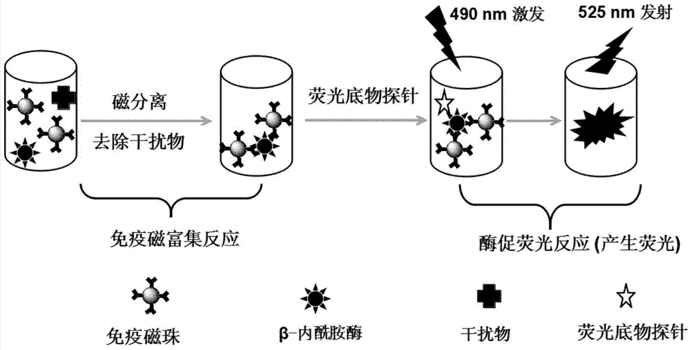 Method for detecting beta-lactamase in dairy produce