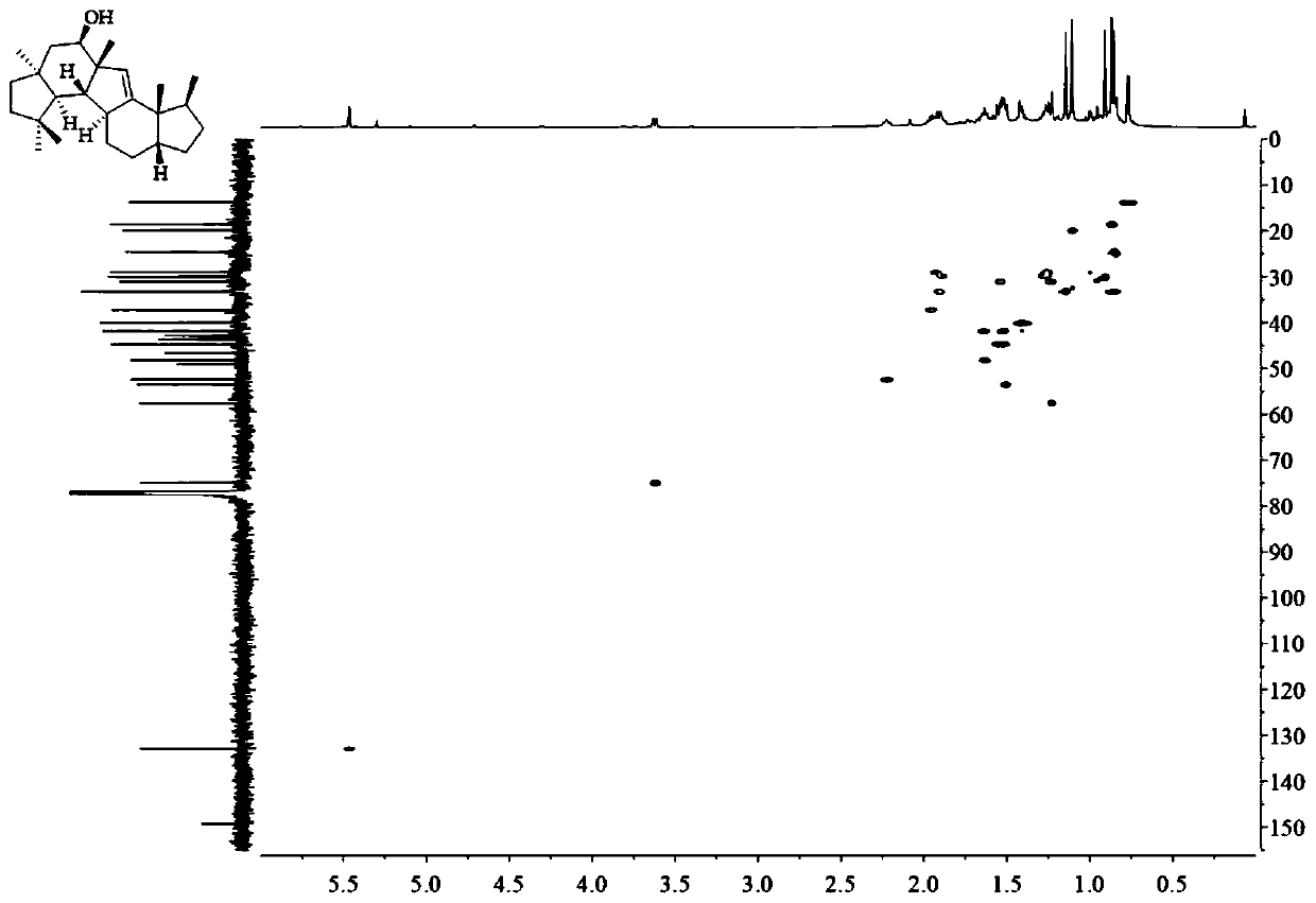 A kind of sesquiterpene compound peniroquesines and its preparation method and application