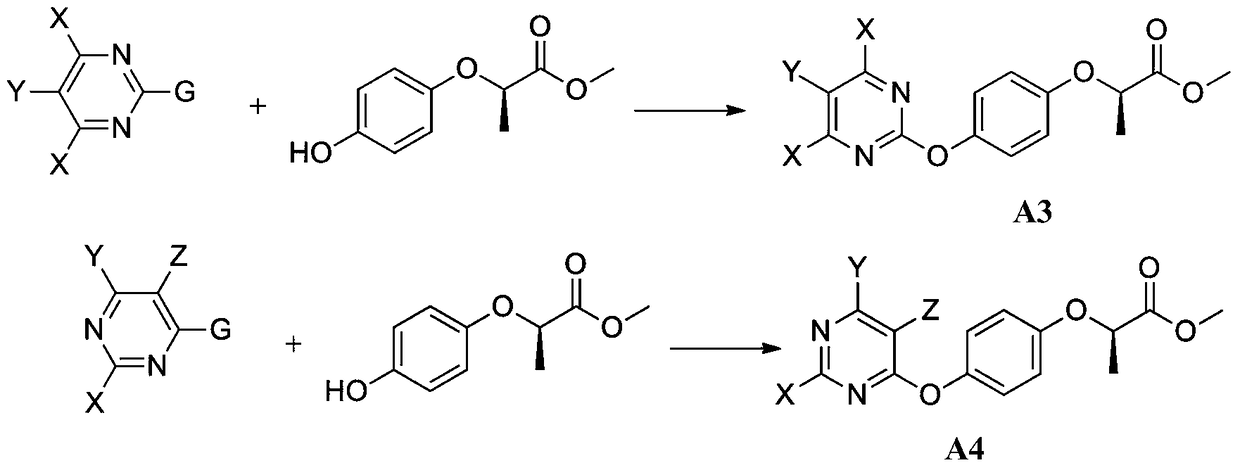 2-[4-(pyridin-2-yloxy)phenoxy]amide derivative and its preparation method and application