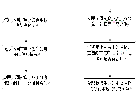 Hydroponic plant screening method for indoor formaldehyde purification