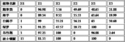 Hydroponic plant screening method for indoor formaldehyde purification