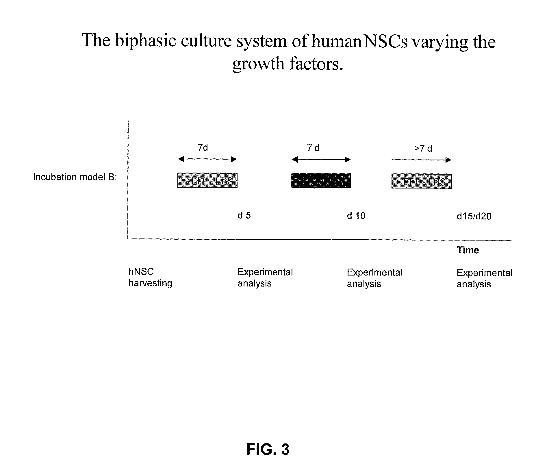 Ex Vivo Progenitor and Stem Cell Expansion and Differentiation for Use in the Treatment of Disease of the Nervous System