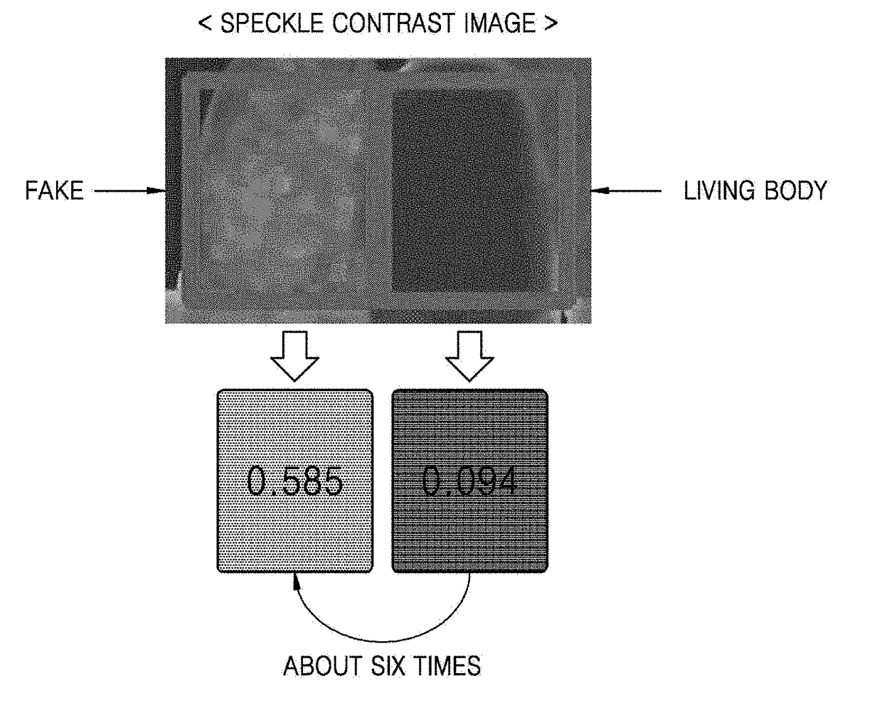 Apparatus and method using optical speckle