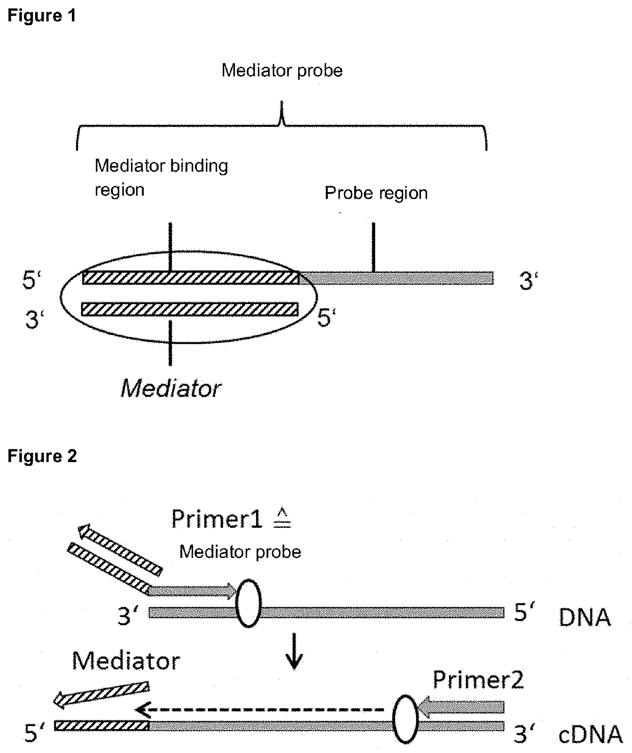 Two-part mediator probe