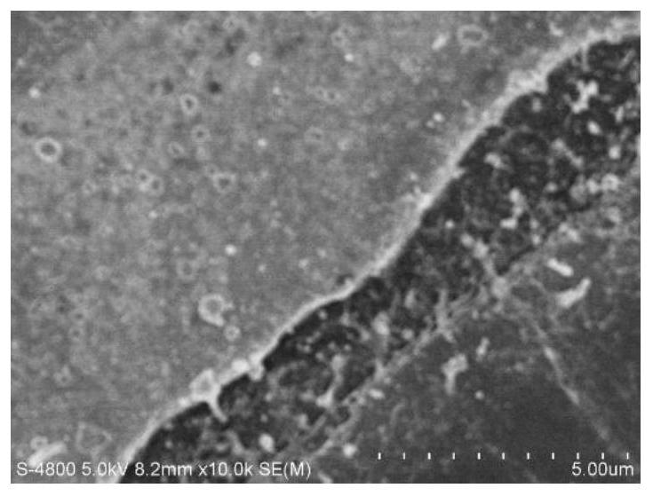 Functionalized titanium dioxide/chlorella nano composite material based on graphene quantum dots and preparation method and application thereof