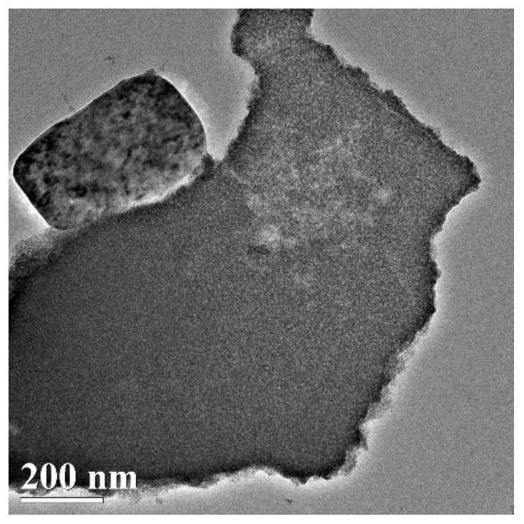 Functionalized titanium dioxide/chlorella nano composite material based on graphene quantum dots and preparation method and application thereof