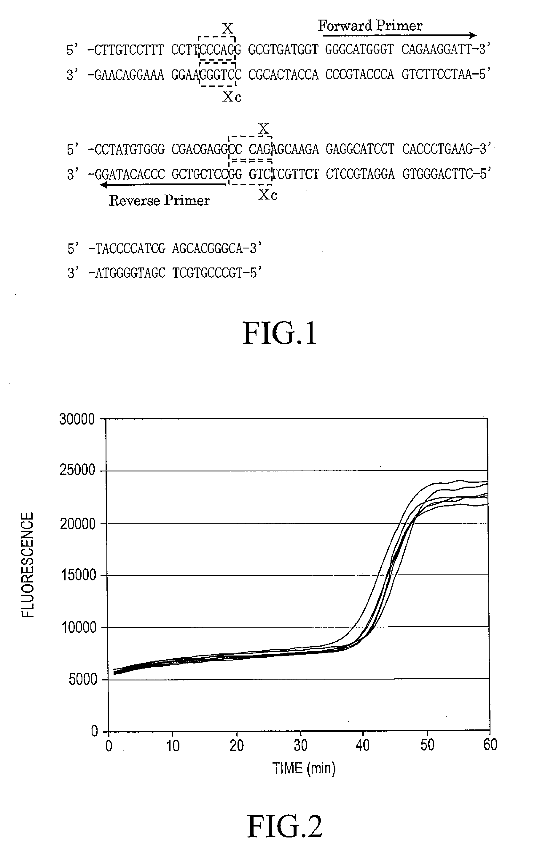 Nucleic acid amplification method