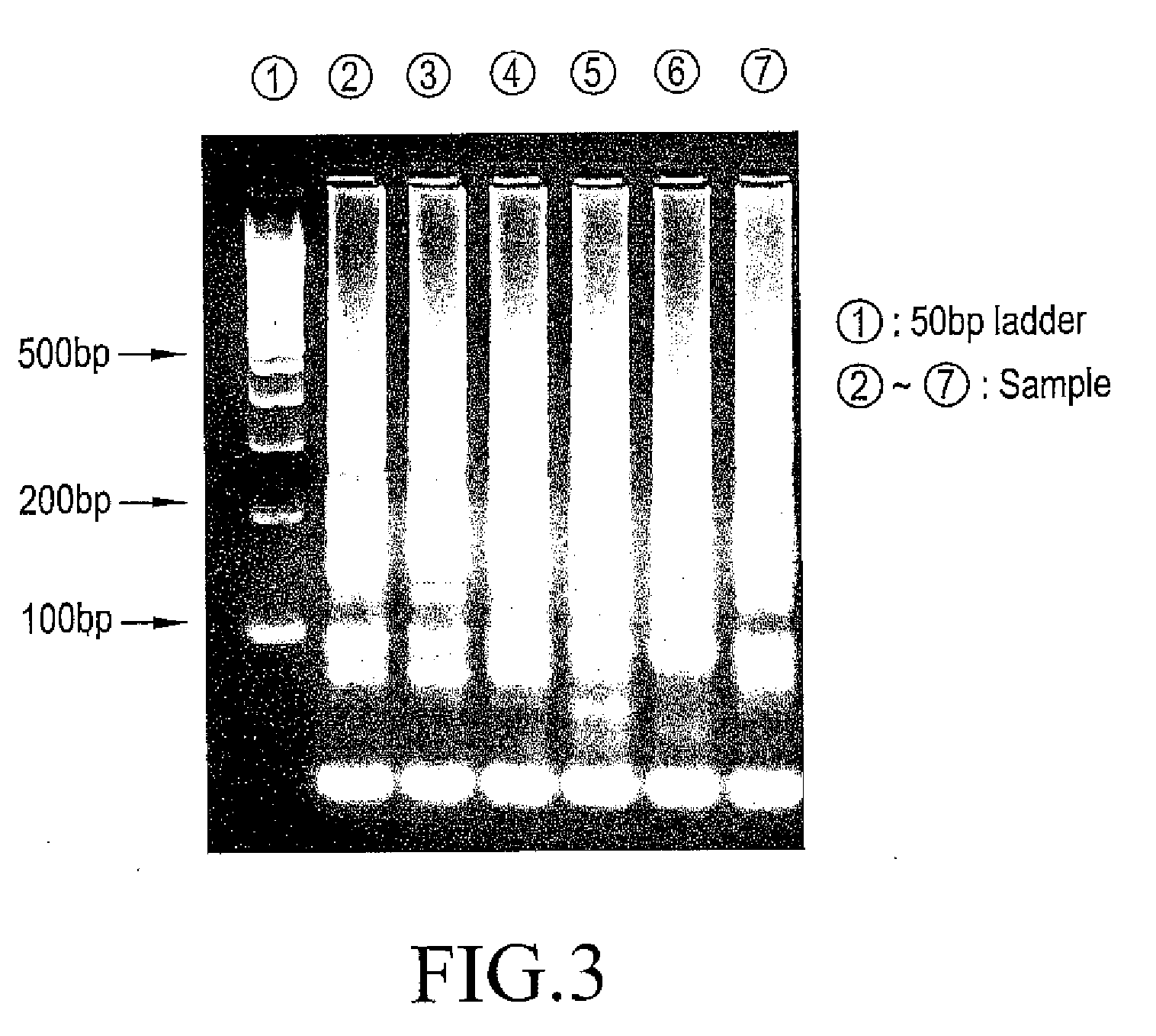 Nucleic acid amplification method