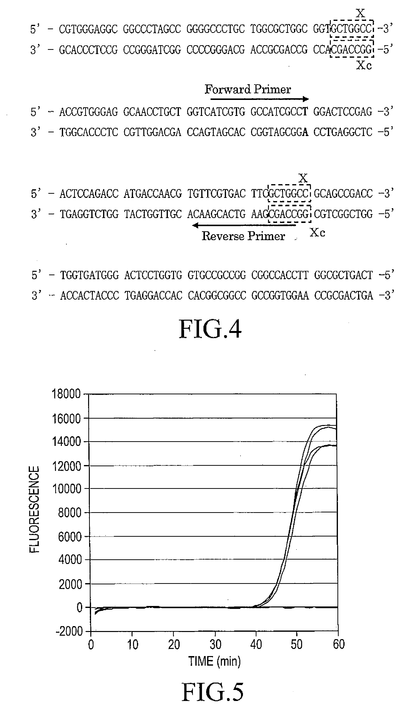 Nucleic acid amplification method