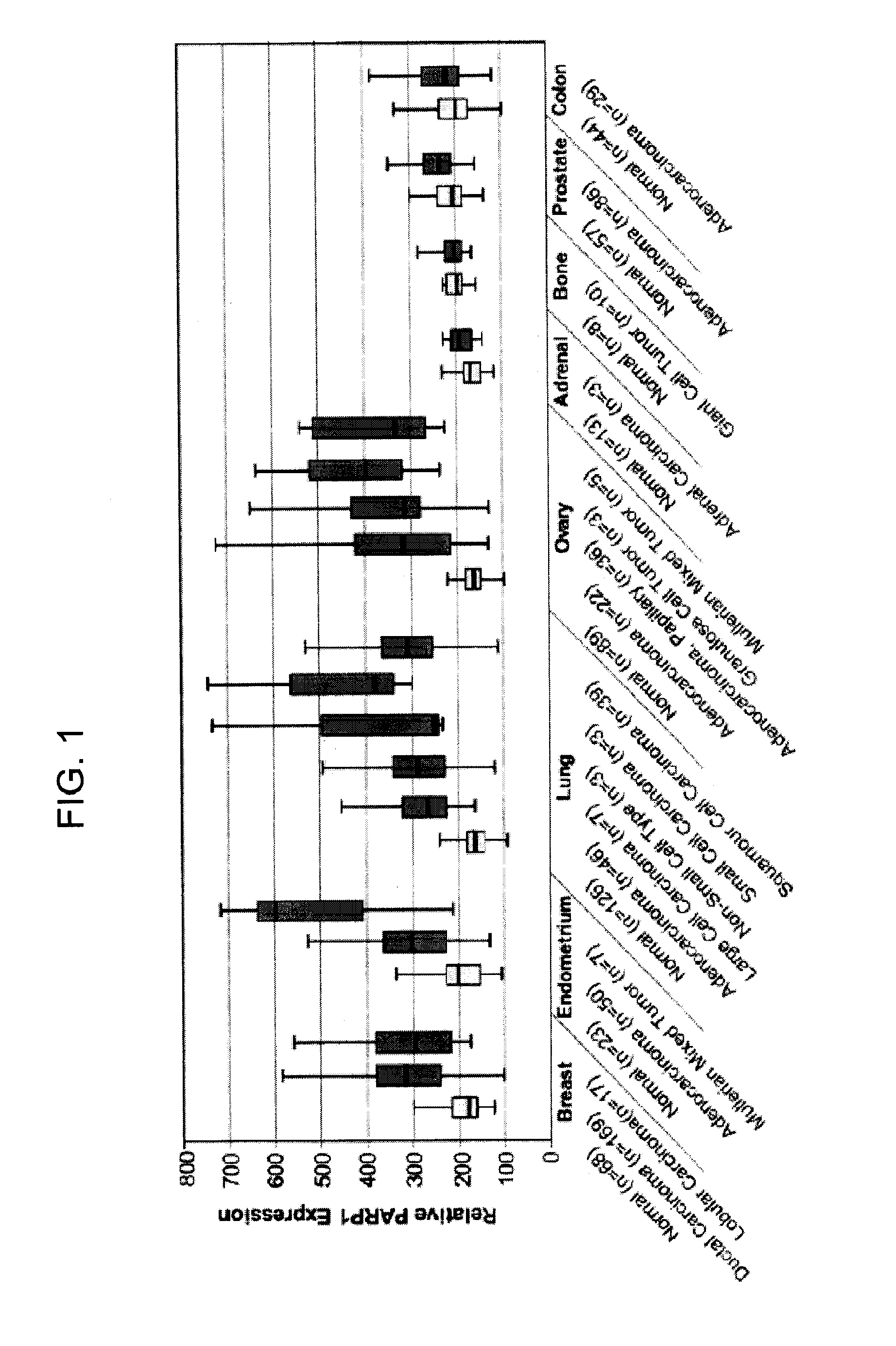 Treatment of uterine cancer and ovarian cancer with a parp inhibitor alone or in conbination with Anti-tumor agents