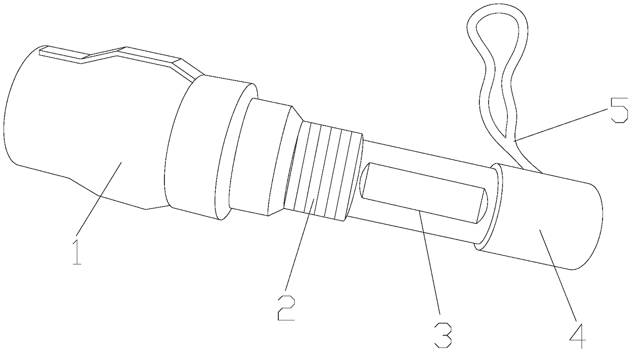 Non-contact device for detecting freshness of eggs by virtue of elasticity