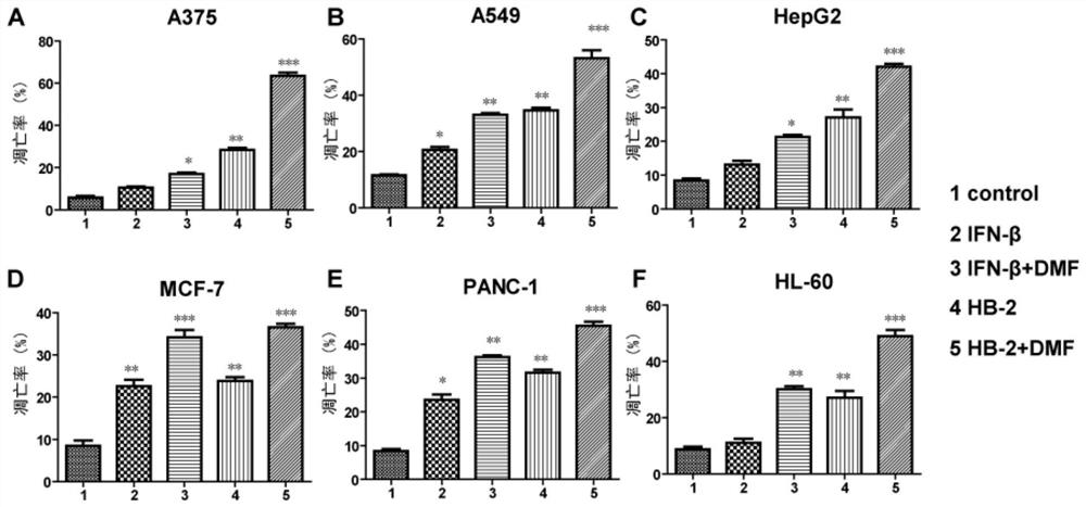 Application of quinone chalcone compound in the preparation of antitumor drugs