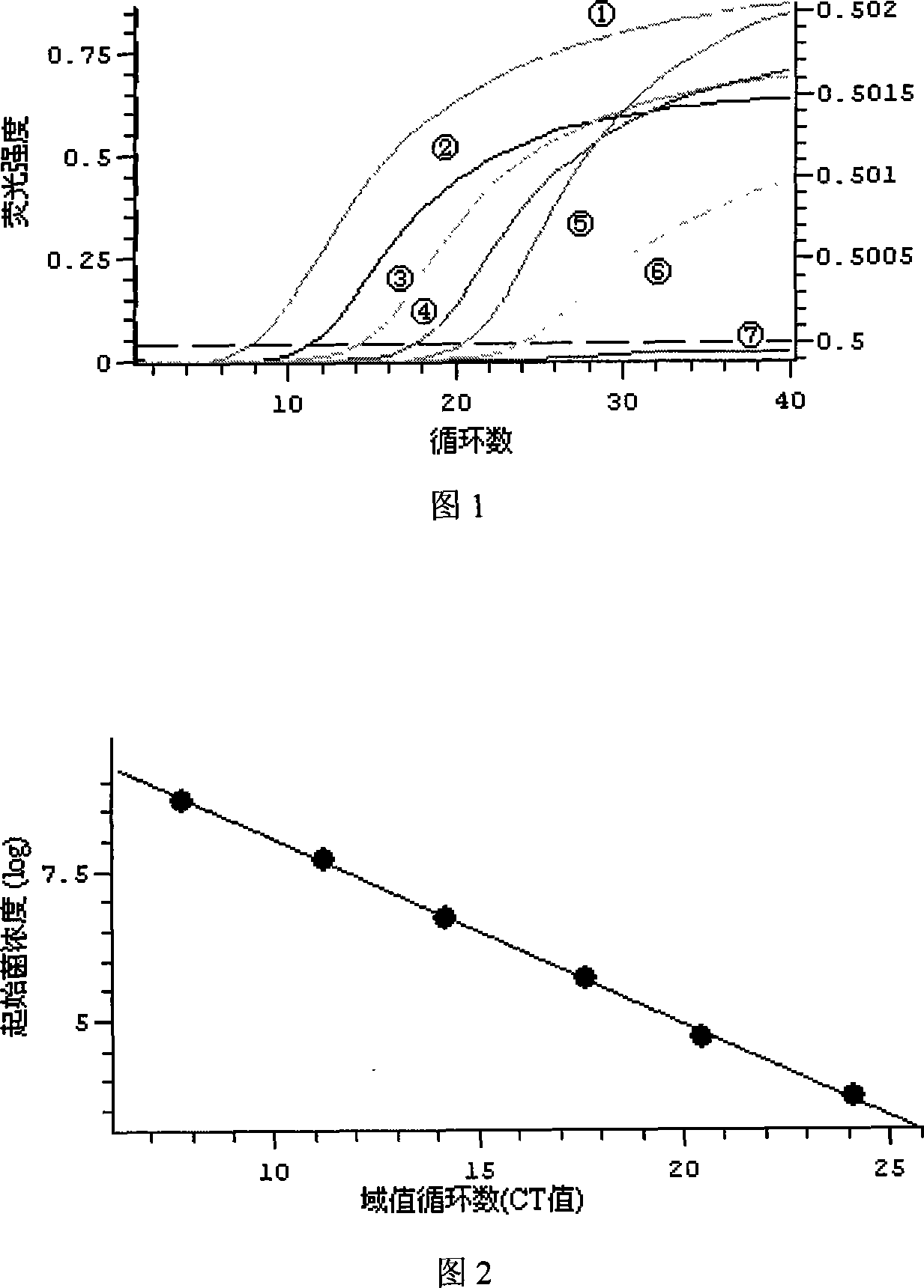 Primer and fluorescent probe for detecting sulfate reduction bacterium