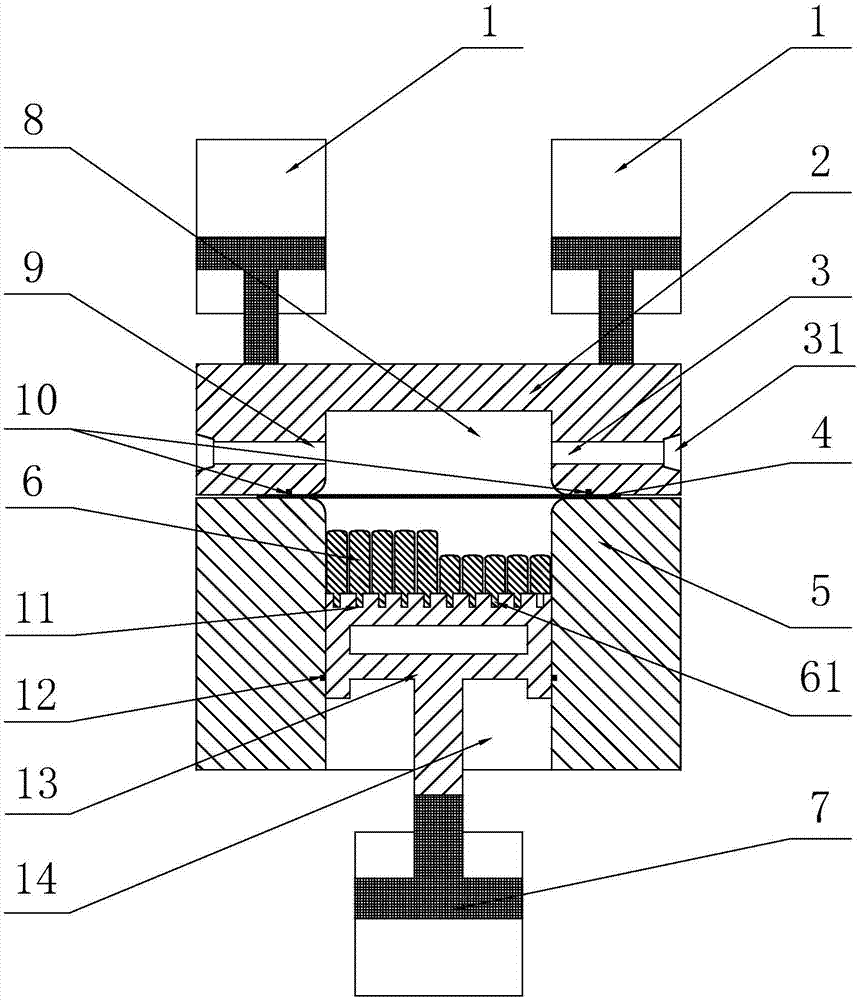 Hydraulic forming device with multipoint female groove, and method for manufacturing panel parts through using hydraulic forming device