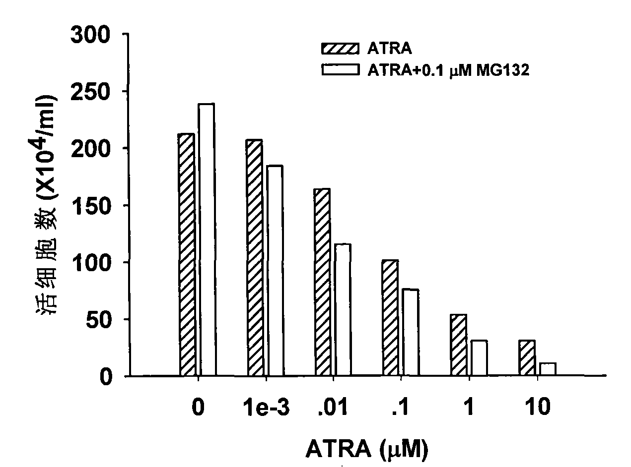 Use of MG132 in preparing medicine for synergistic inductive differentiation therapy of leukaemia