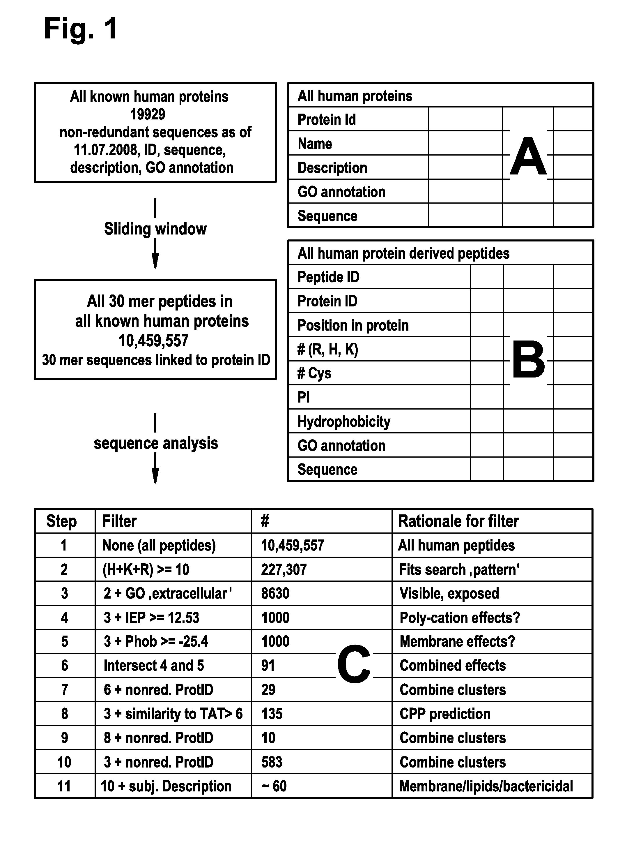 Cell-penetrating peptides and uses thereof